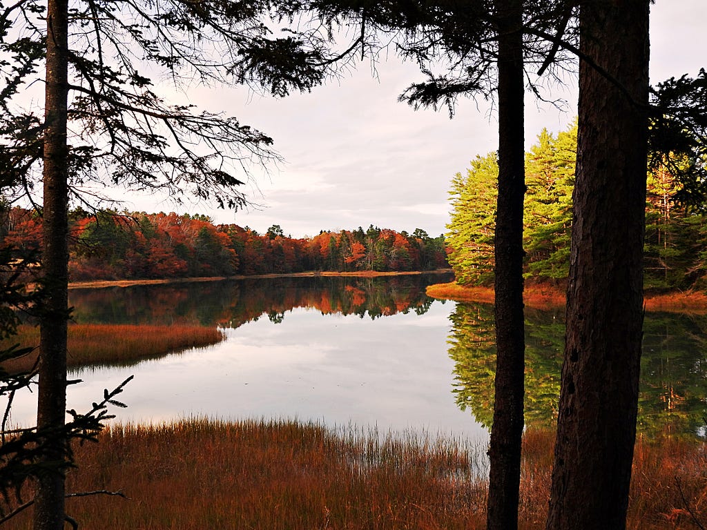 Calm, still water surrounded by orange, red, yellow and green fall trees. A cloudy gray sky is overhead