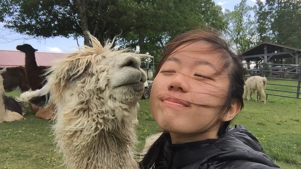 A photo of Lynn with a llama, both of them have their eyes closed, enjoying a breeze