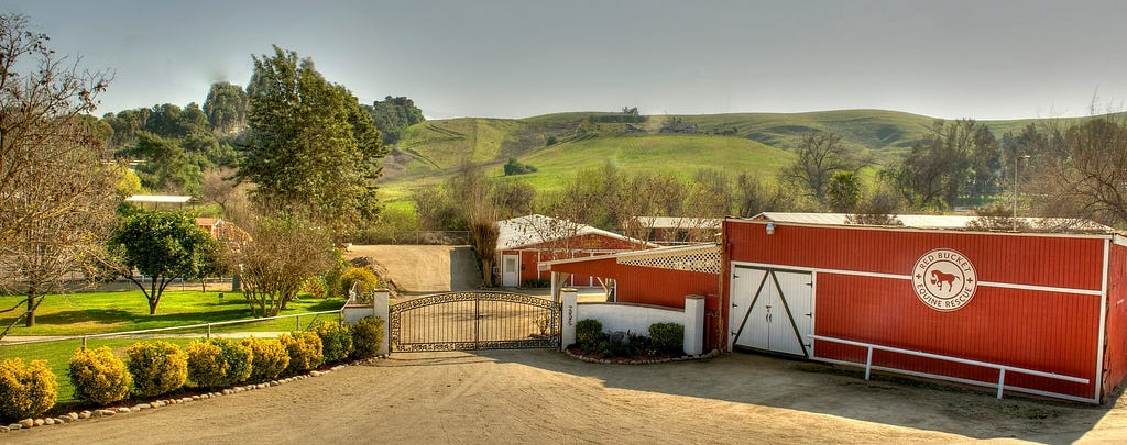 High vantage photo of the red Bucket Ranch with beautiful green hills in the background and a red barn in the foreground.