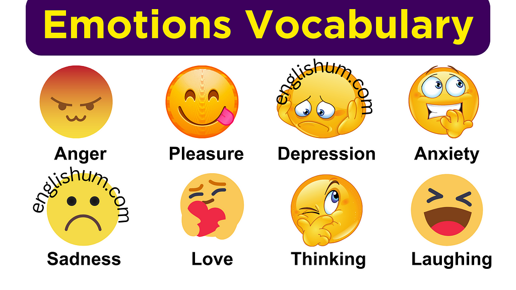 Feelings and Emotions Words in Urdu and English