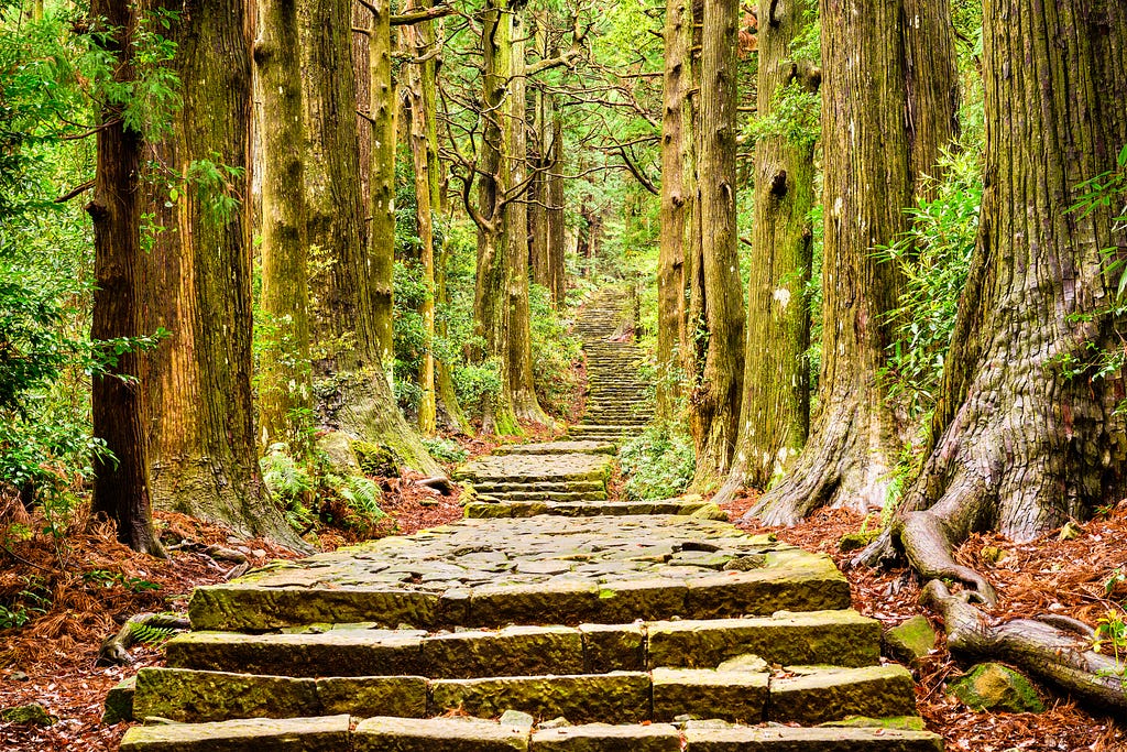 Warm green path in the middle of a forest with stone steps. The Kumano Kodo trail in Japan. Forest bathing for mindfulness.
