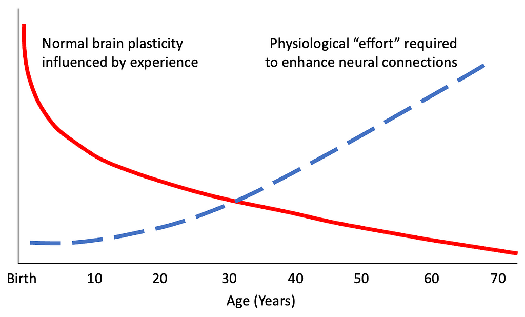Curves showing how brain plasticity declines over time and effort required to enhance neural connections increases