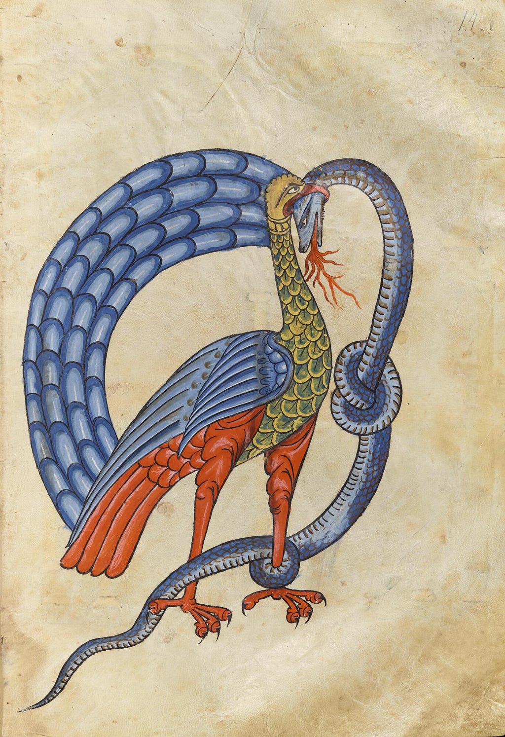 A digital crop of the same image from Latin MS 8, in colour