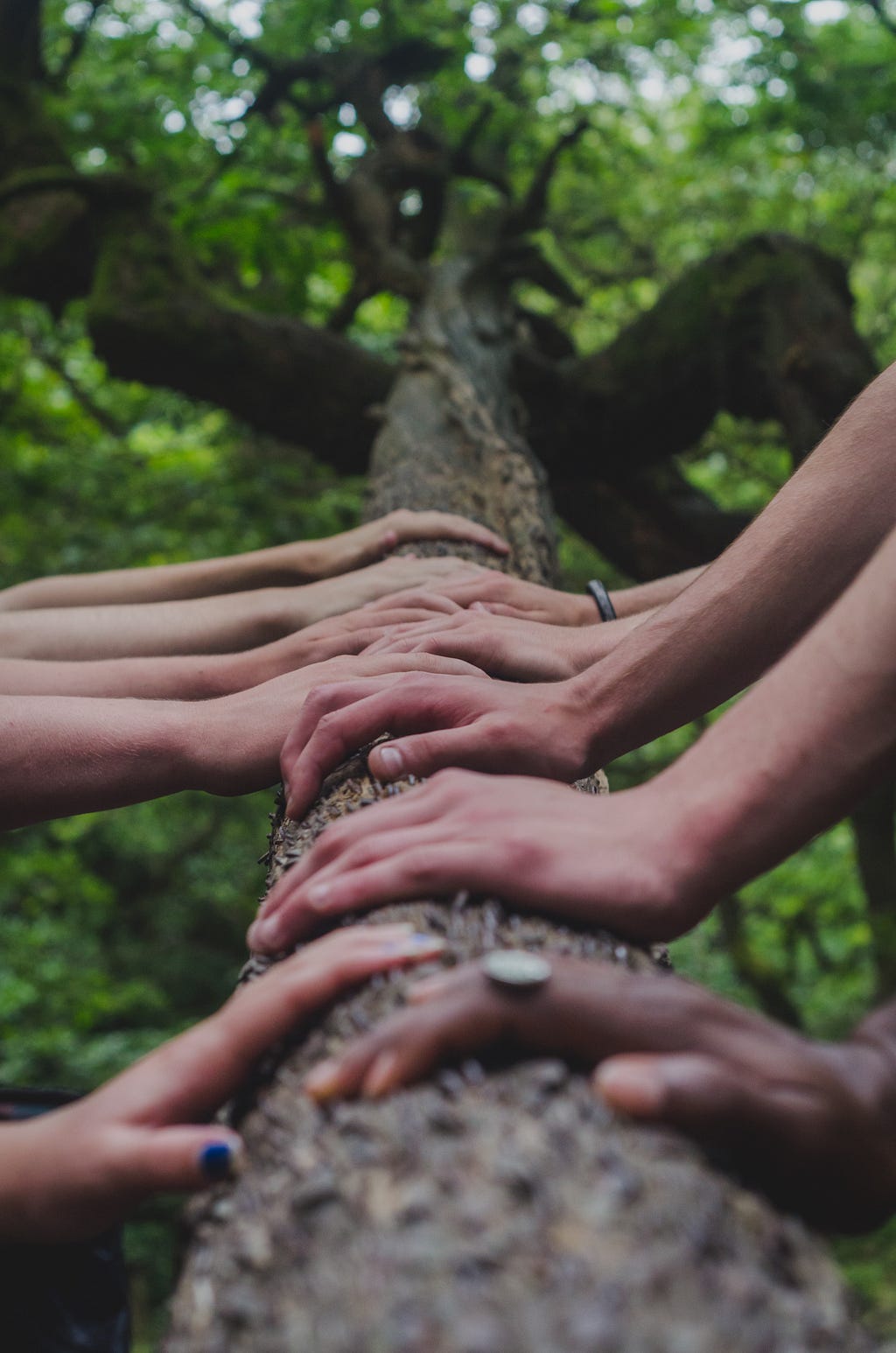 A photograph of multiple people placing their hands next to each other on a tree stump.