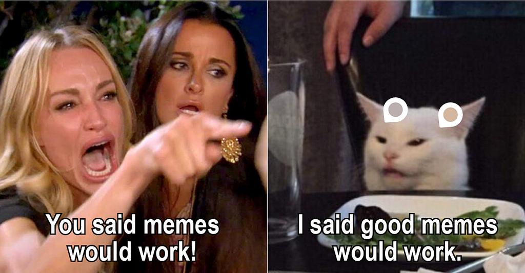 Funny image with woman saying “You said memes would work!” and cat on the other image “I said good memes would work”