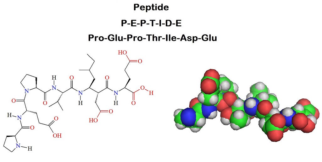 Peptide Synthesis — Navigating the Pathways of Molecular Construction