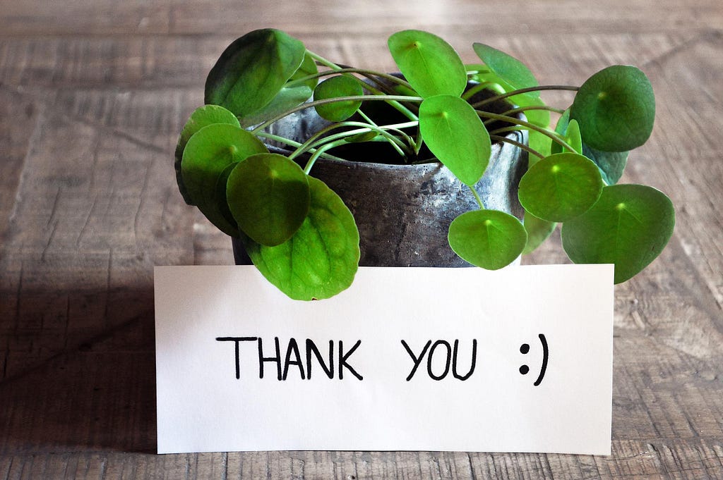 A wooden sign saying “thank you” in front of a Chinese money plant.