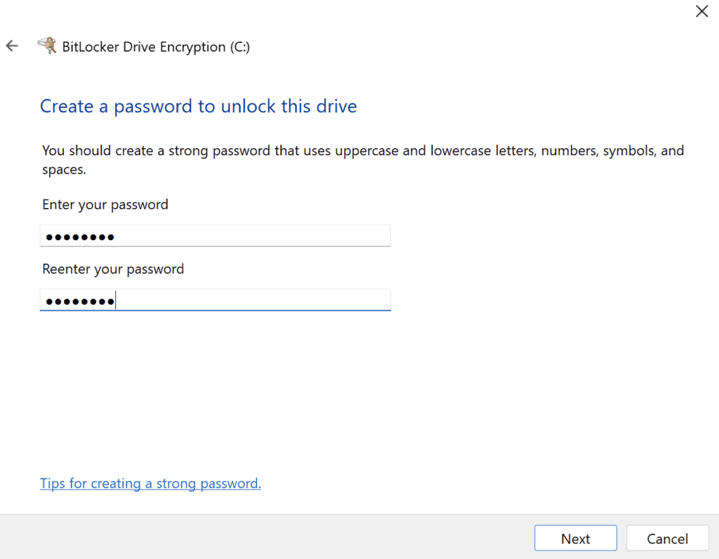 Enter password, which is needed to unlock drive every time.