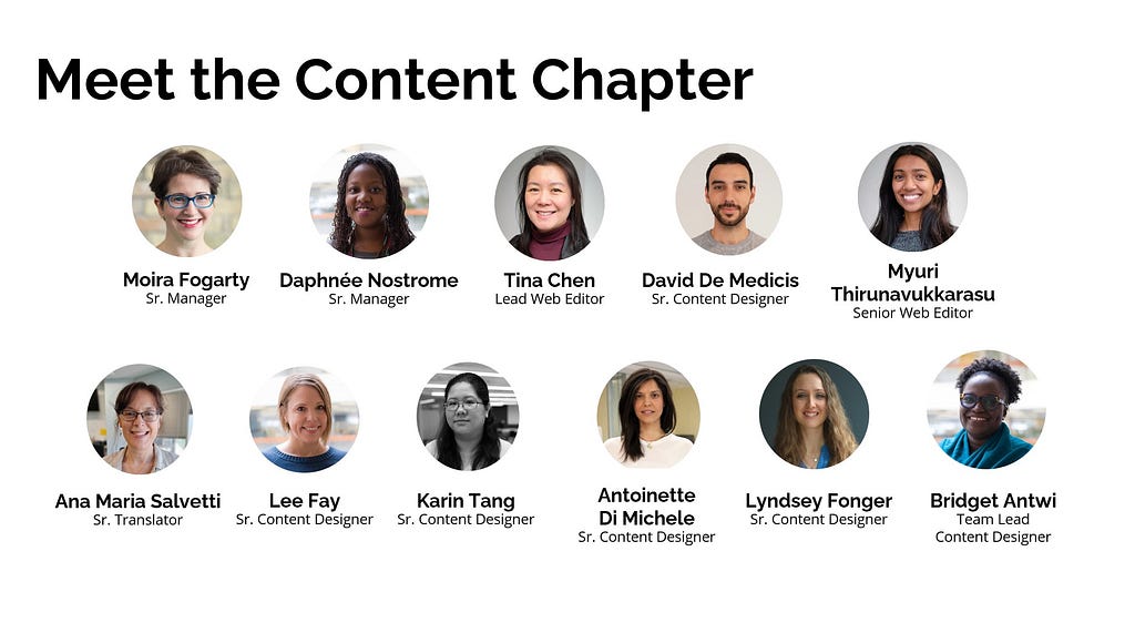 Meet the Content Chapter group photograph.