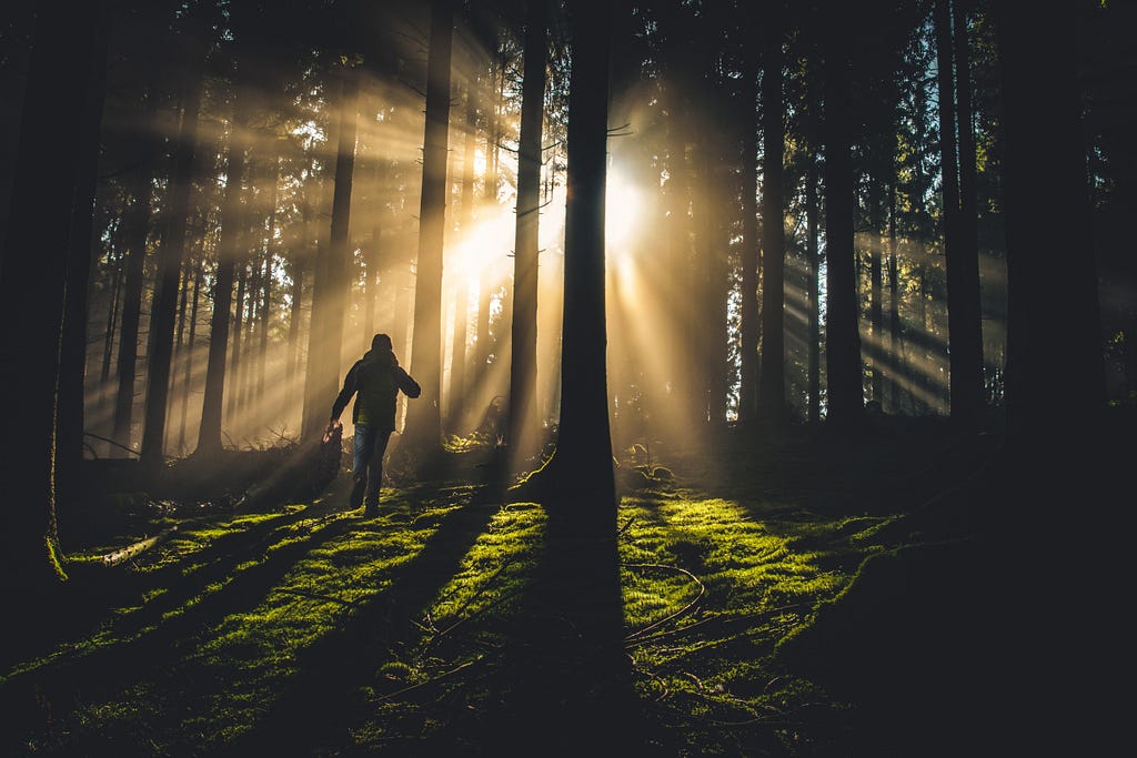 A hiker in a dark forest striding toward sunlight