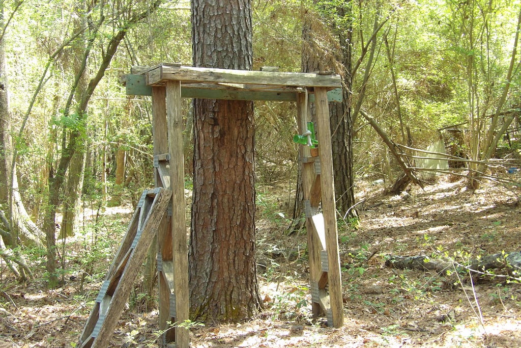 A frame built up to look like what I’m not sure. It’s leaned againt a tree. I think the main takeaway here is framing.