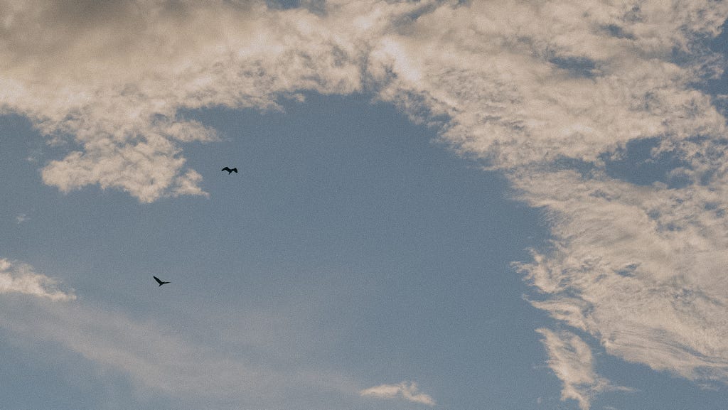 Two birds flying across the clear skies.