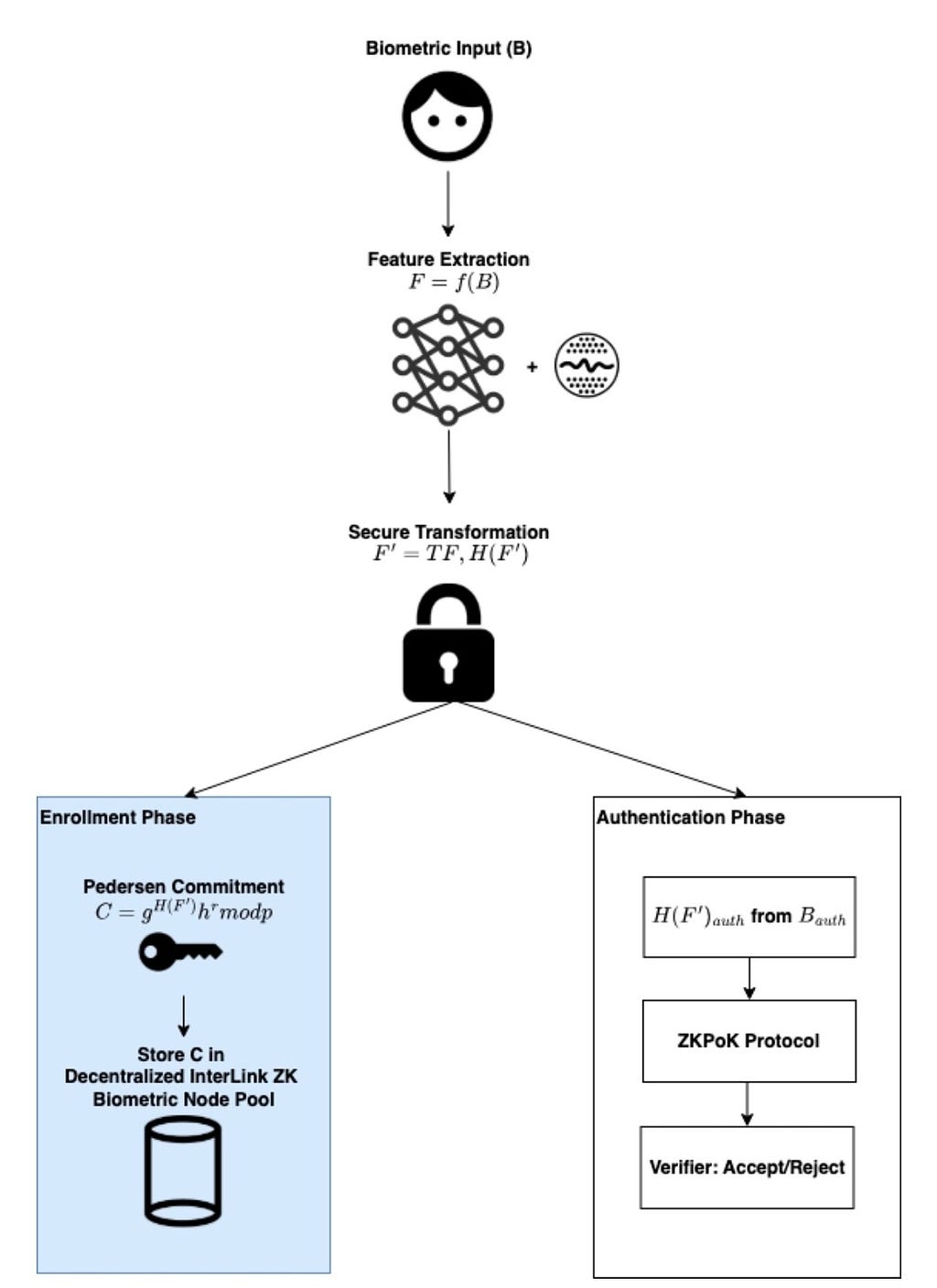 The New Math of Global Citizenship: PoP × HCS × DAO