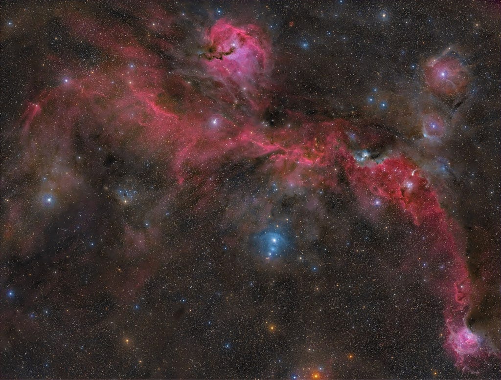 The Seagull Nebula: A Bird Made of Stars and Time