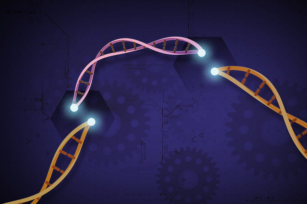 CRISPR-Cas9 gene editing can be described as molecular “cut and paste”.
