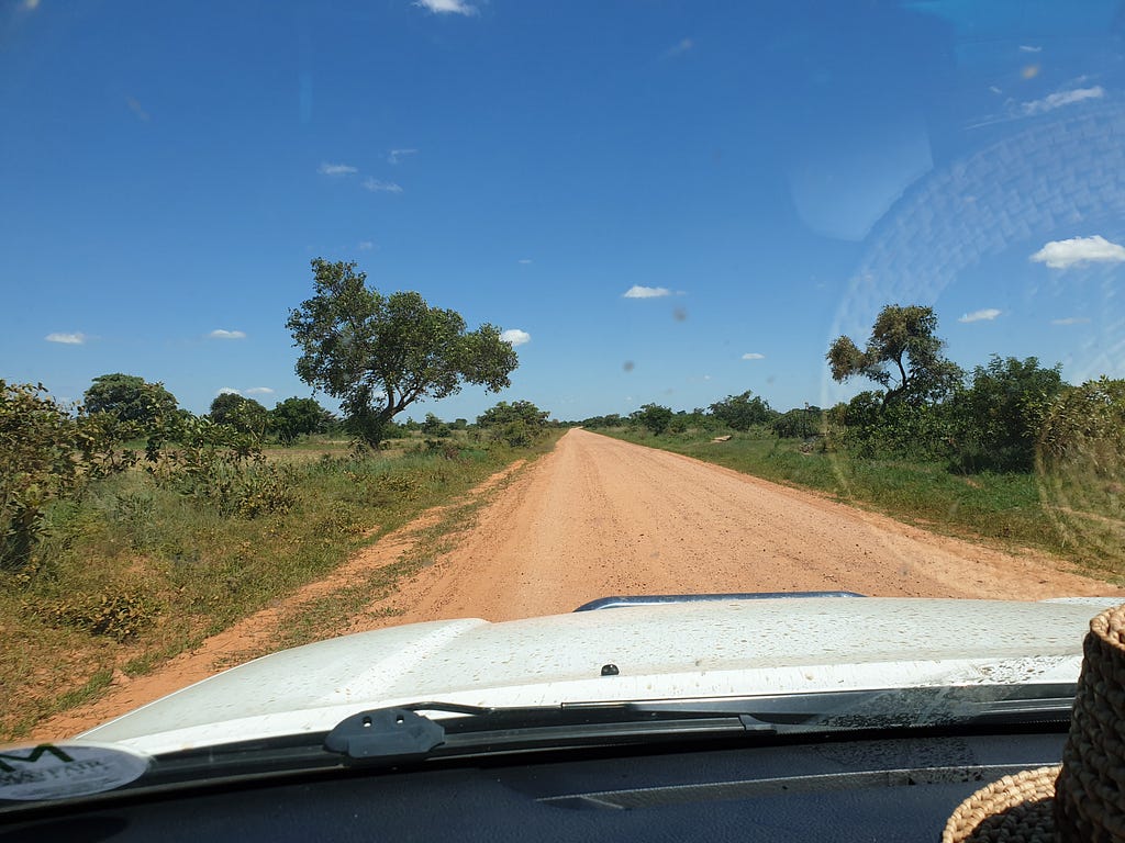 Looking through the vehicle windscreen over a brown dirt road between green bushes and a blue sky behind
