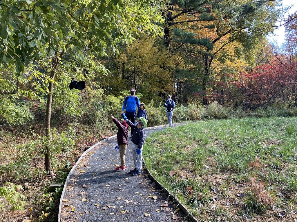 Two children on a trail point up to a fake bat hung in a tree. Their parents walk behind them. All visitors wear masks.