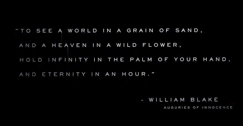 Quote: ”To see a world in a grain of sand, and a heaven in a wild flower, hold infinity in the palm of your hand, and eternity in an hour.” — William Blake, Auguries of innocence