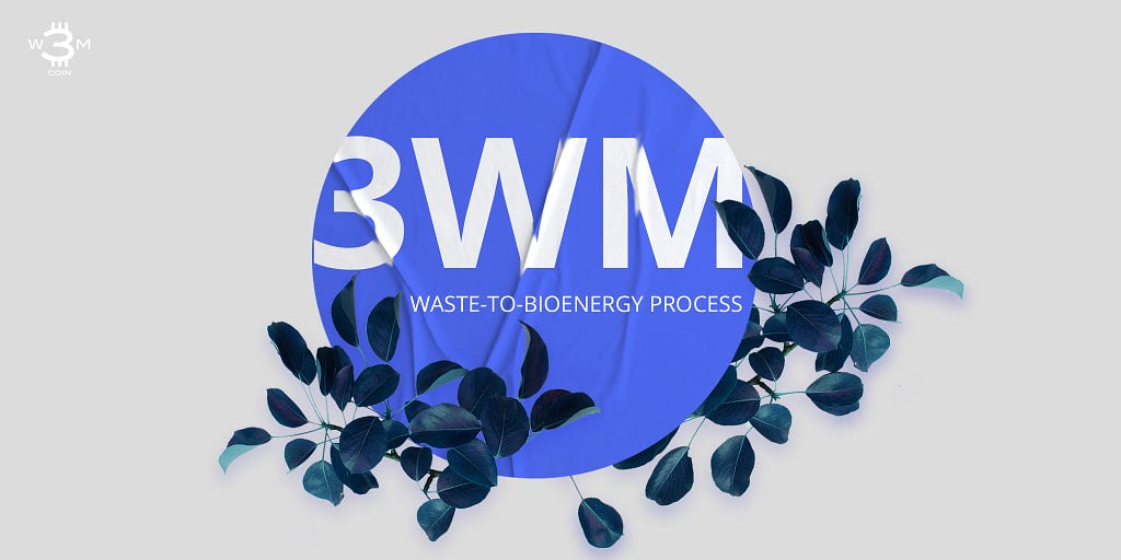 3WM Waste-to-Bioenergy Process