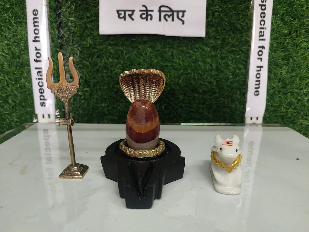 ARDHNARMADESHWARSHIVLING