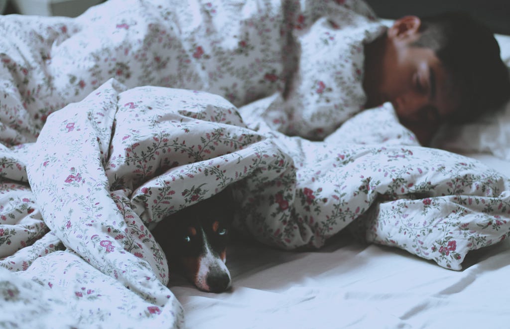 Man asleep in bed with dog under covers