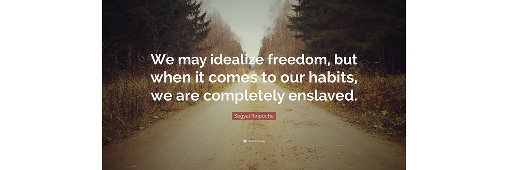 image credit: Sogyal-Rinpoche-Quote-We-may-idealize-freedom-but-when-it-comes-to.jpg