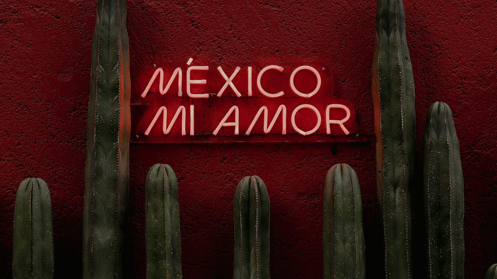 neon sign: Mexico mi Amor.