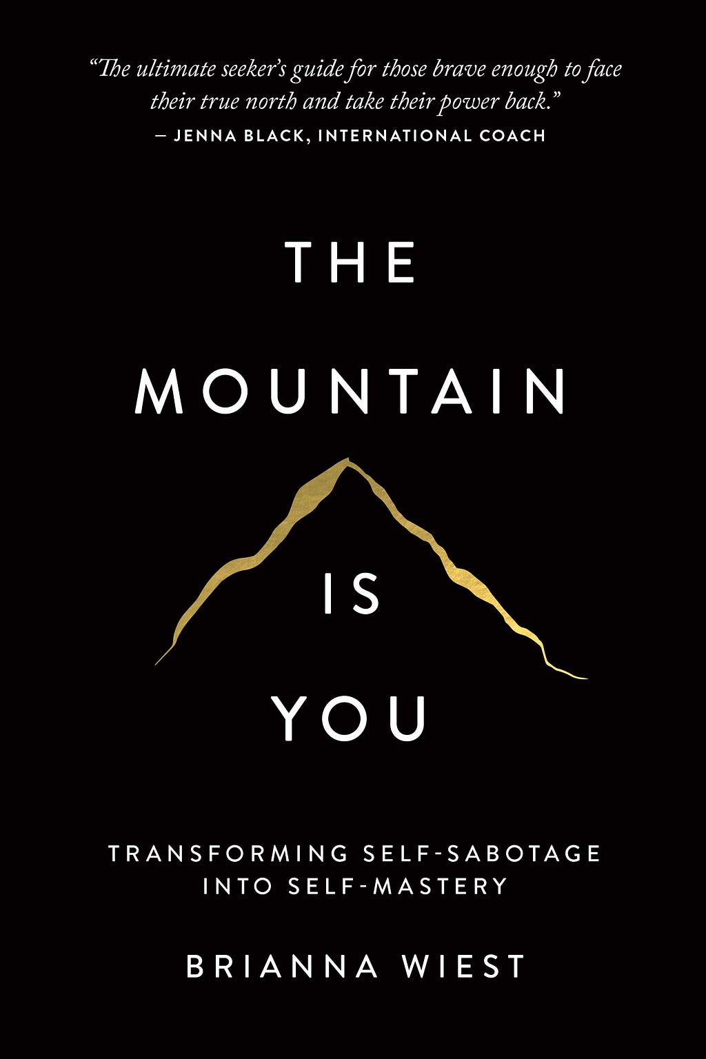 Summary of The Mountain Is You By Brianna Wiest
