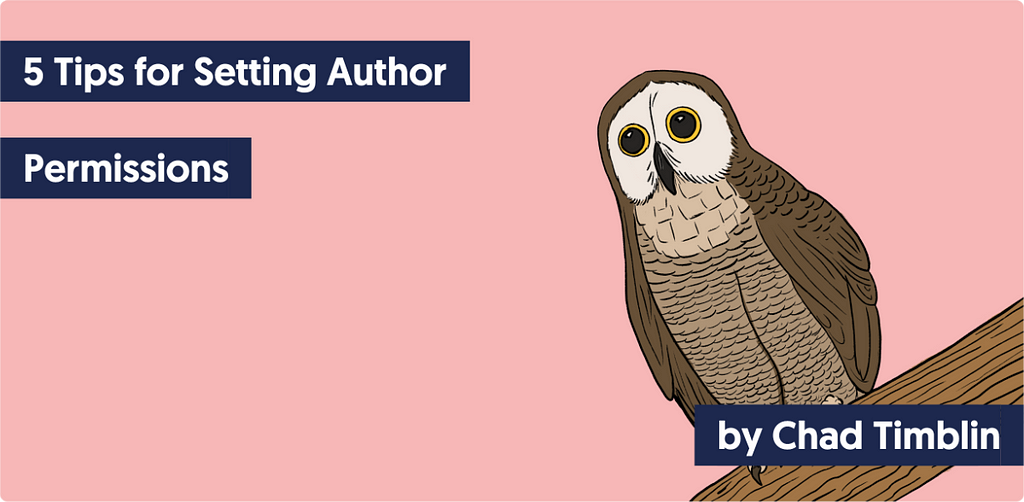 A brown owl sitting on a tree branch with this text: New post: 5 Tips for Setting Author Permissions — by Chad Timblin