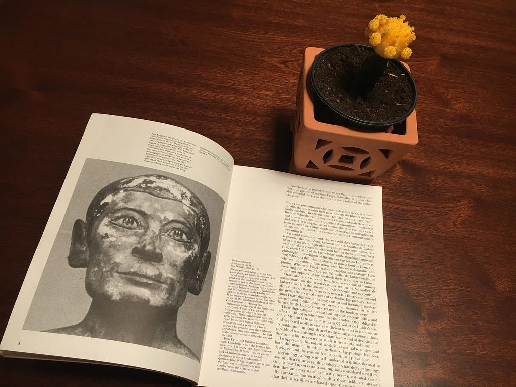 This is a photo taken by the author of The Serpent in the Sky, opened on page four. The is a cactus for decorative effect. The page is mainly of the head of an Egyptian statue.