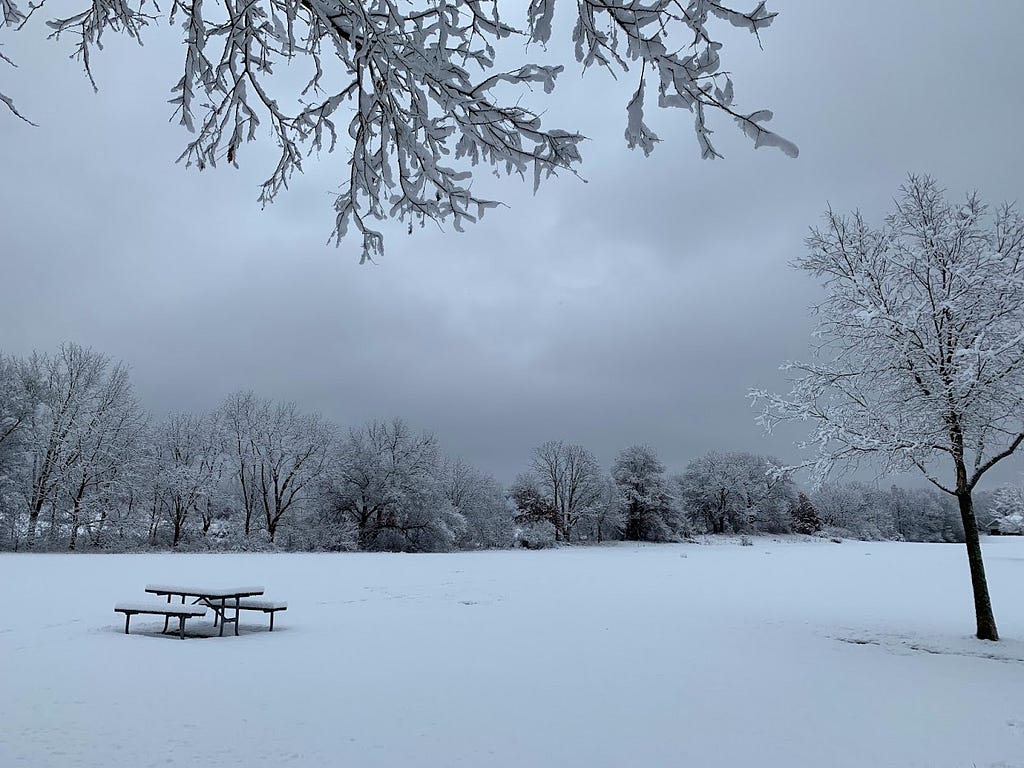 A park covered in snow with grey skies