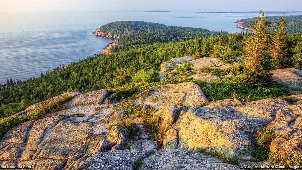 trails in Acadia National Park