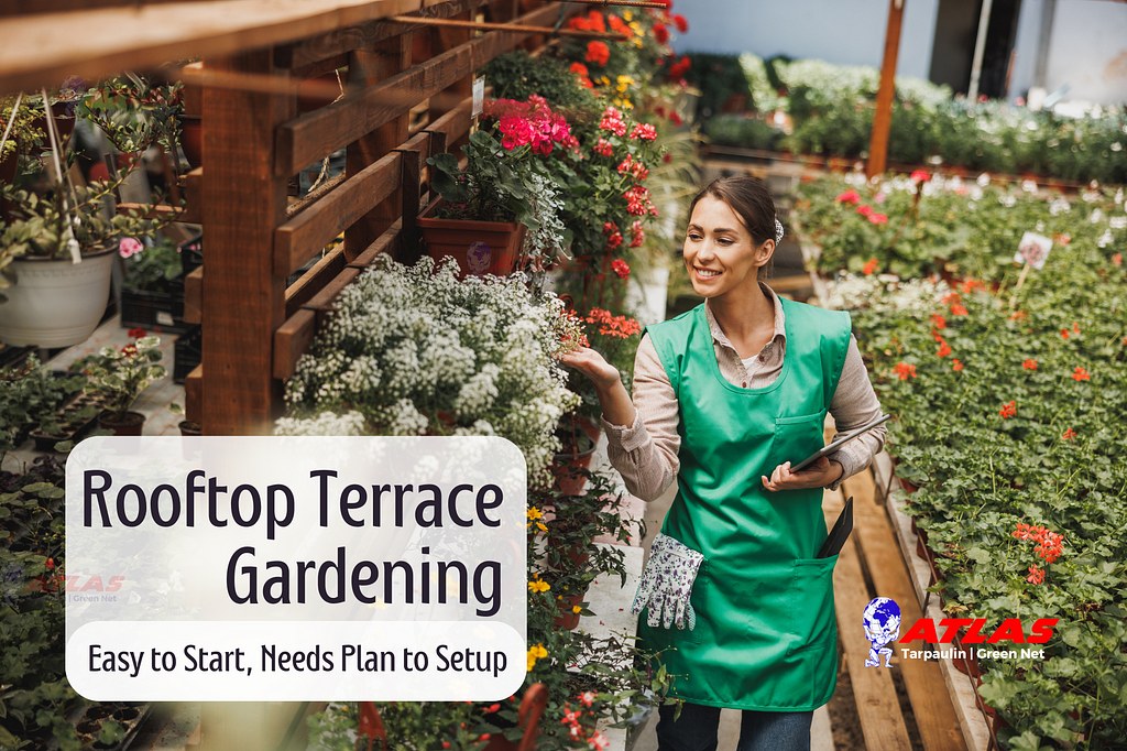 Blueprint to Build and Start Your own Rooftop Terrace Gardening — Part 2