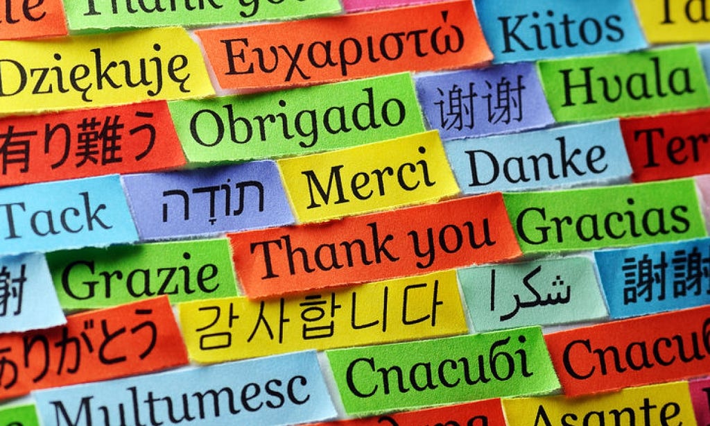 Imagery of pieces of multi-colored paper with the word thank you in several different languages