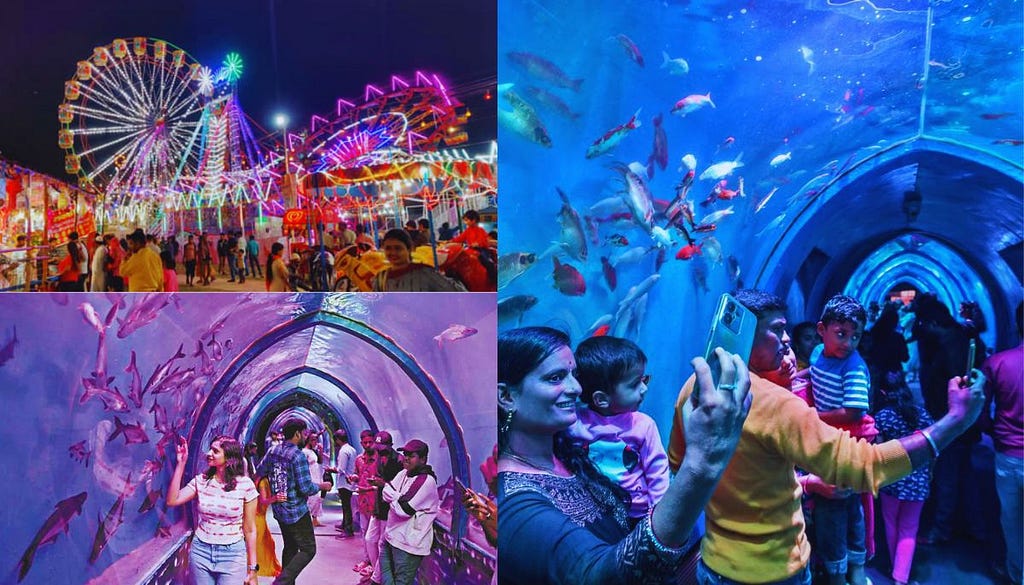 Dwarka Mela