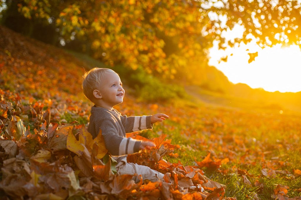 Little boy enjoying fall