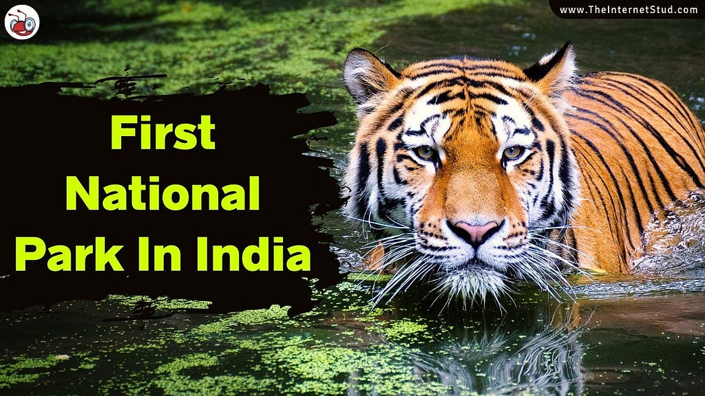 First National Park In India — Jim Corbett National Park