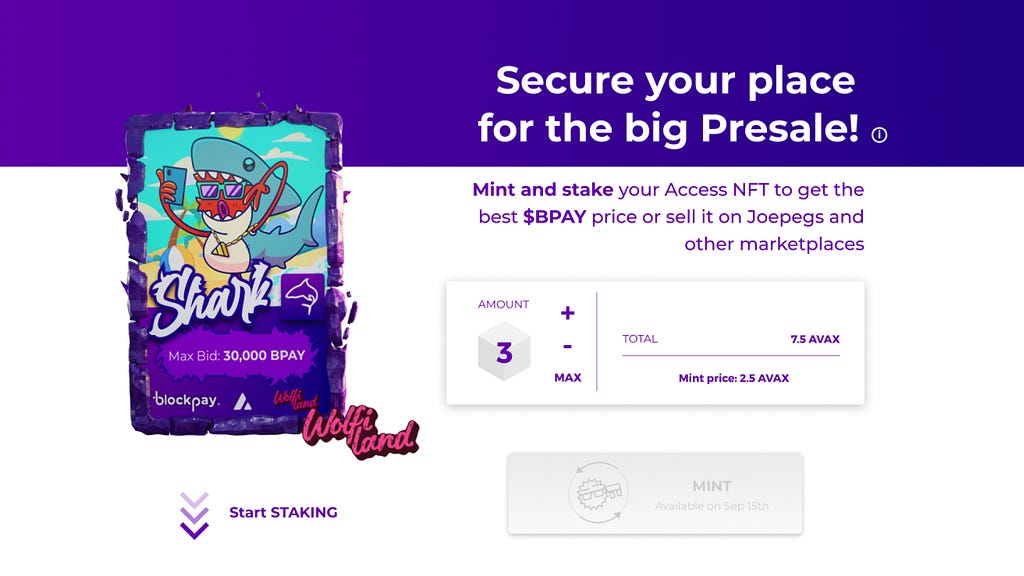 BPAY Presale Access NFT: Your Gateway to the Future of Finance