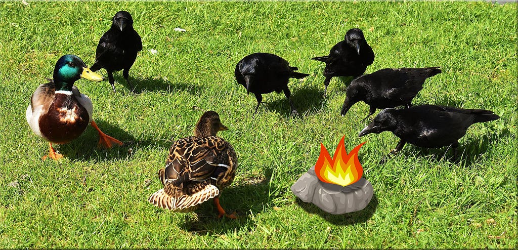 A bunch of crows stand around a flaming stone waiting to see if ducks have nuts