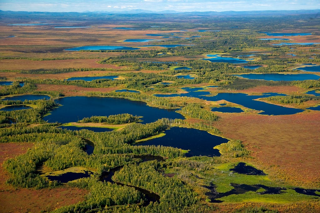 aerial view of vast wetlands