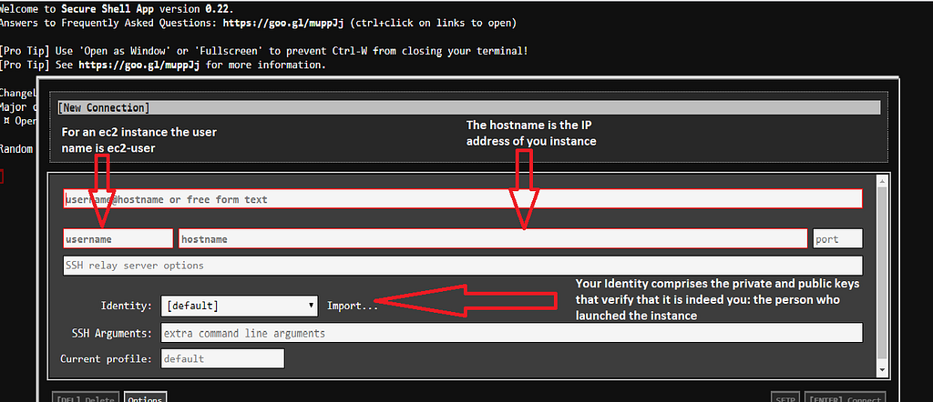 Secure Shell App interface comprised of black screen and the fields you need to fill