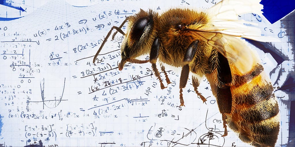A bee with math paper as a background