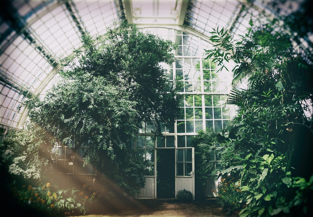 Greenhouse, with white doors opened.