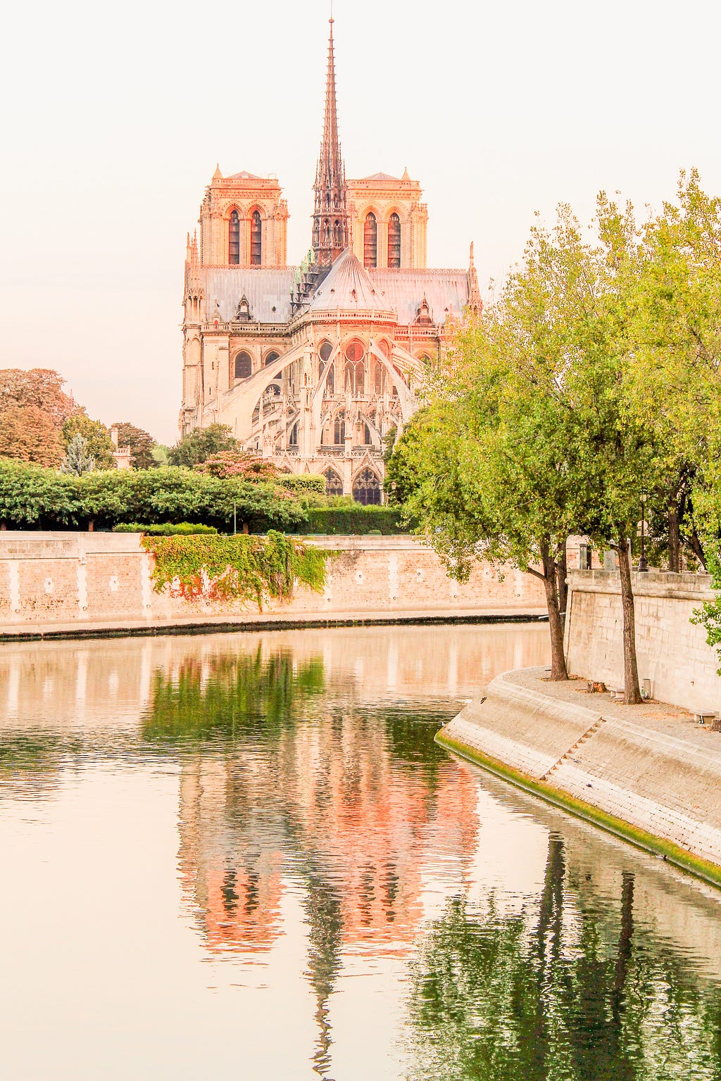 view of notre dame in paris with water reflection