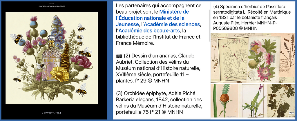 flacon de parfum Abeille de Guerlain dans un décor floral — illustration d’herbiers du XVIIIème et XIXème de la BnF