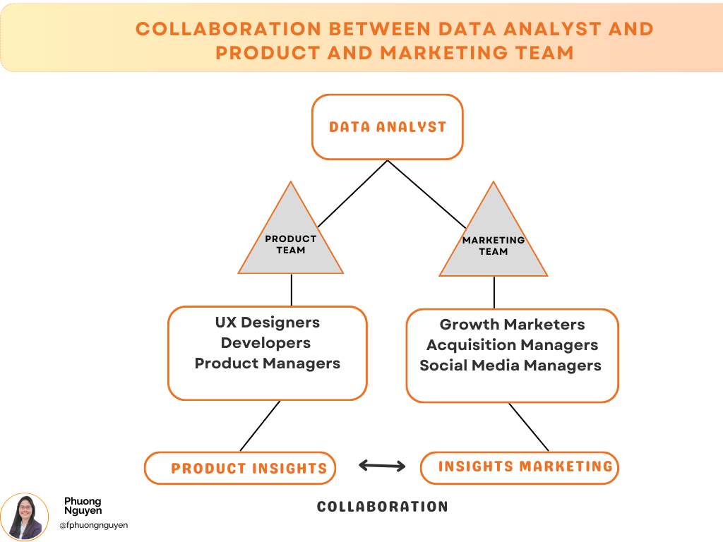 Collaboration between Data Analyst and Product and Marketing team