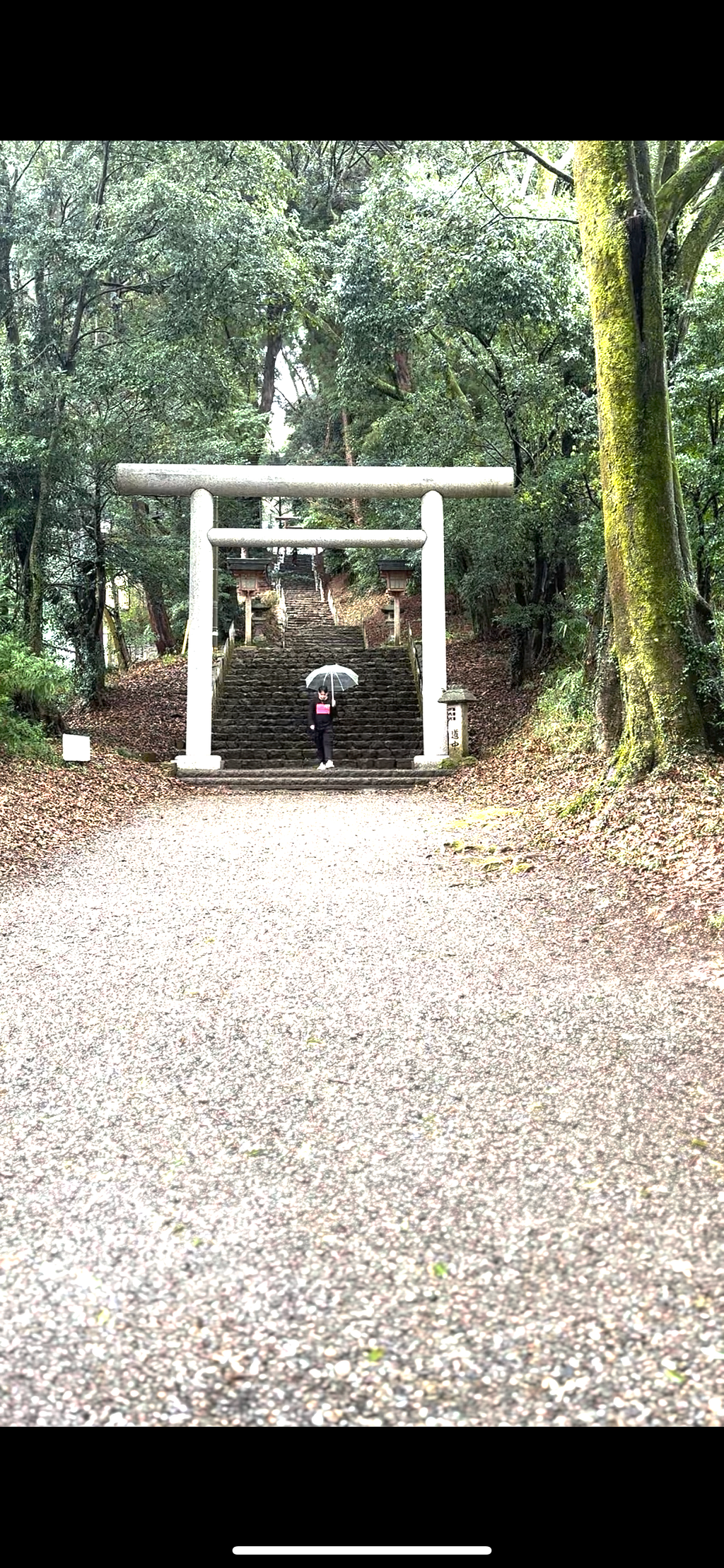 Amanoiwato Shrine Eastern Hall (enshrining Amaterasu)