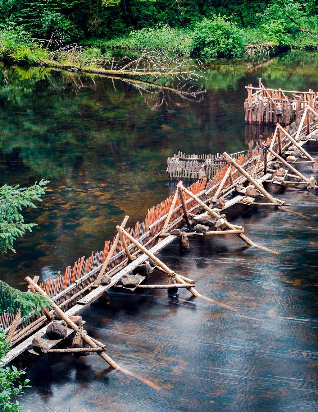 A shallow river with a dam made from wood and stones.