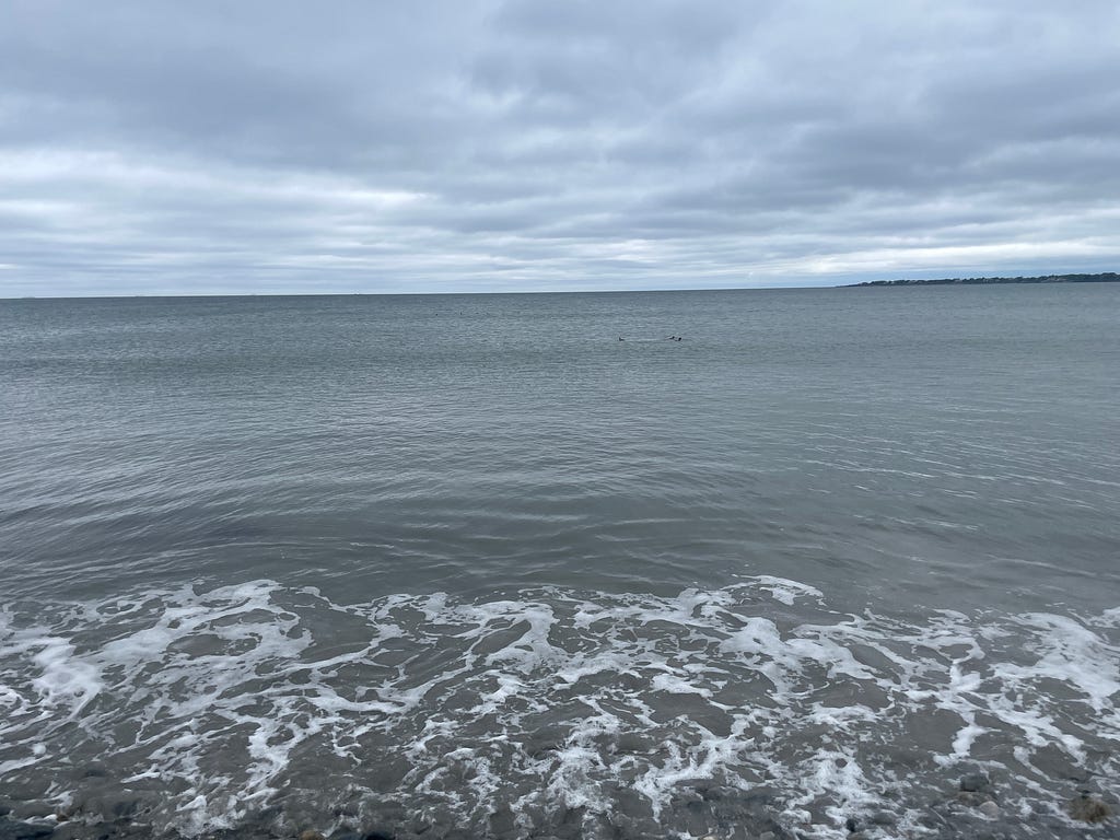 View of a calm ocean from a rocky beach on an overcast day.