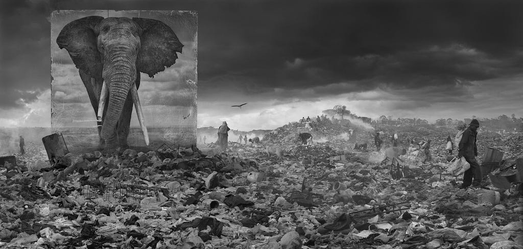 Wasteland with Elephant, Kenya, 2015. © Nick Brandt